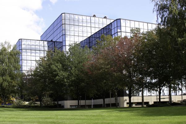 Commercial Tree Trimming in Chippewa Falls